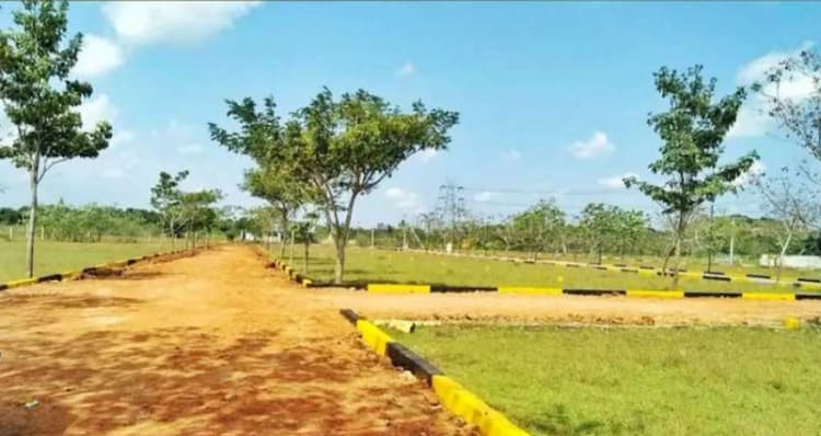 Land for sales
