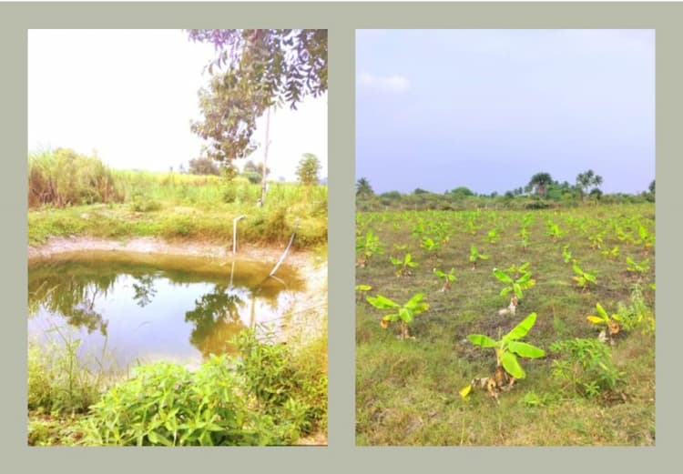 6 Acre Farm Land for Sale