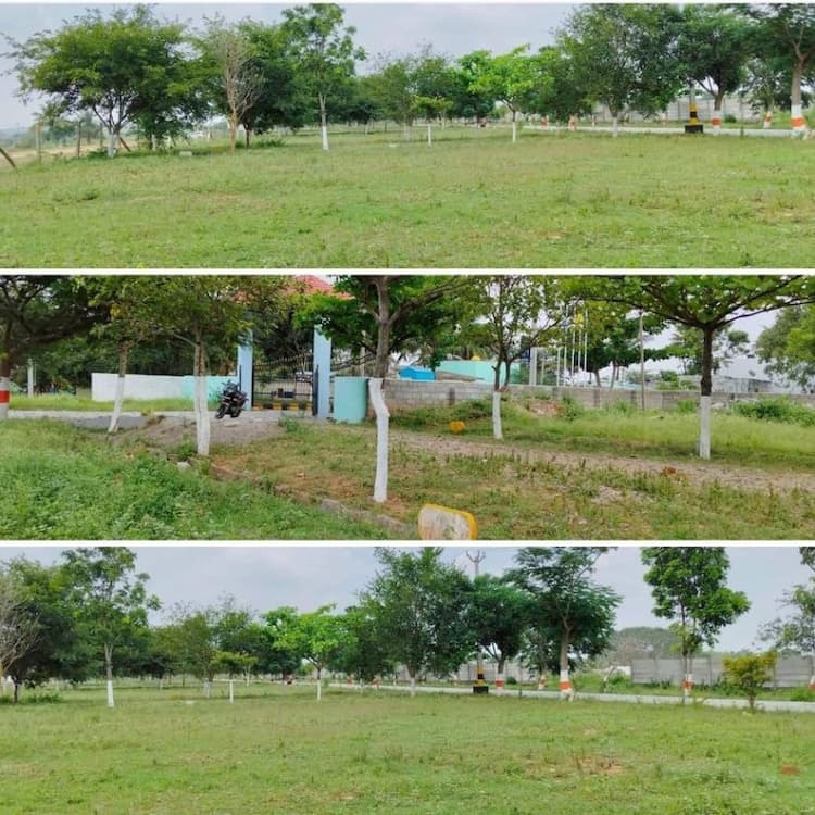 Plot sale