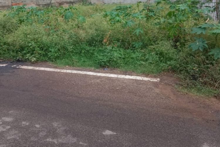 PLOT FOR SALE 