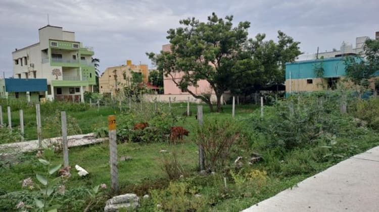 Single Property Image