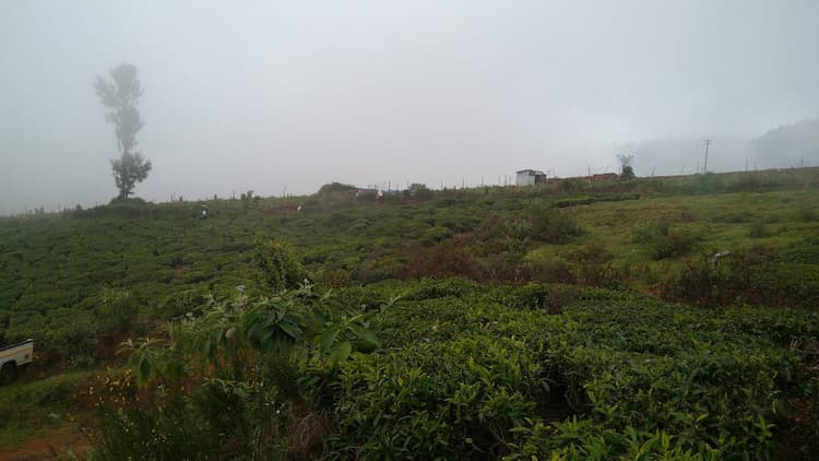 LAND FOR SALE IN OOTY KETTI.