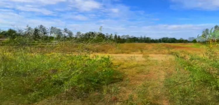 Land with House for Sale