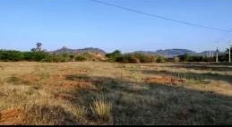 Residential Plot