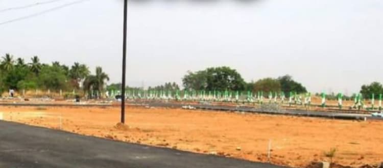 Land for Sale