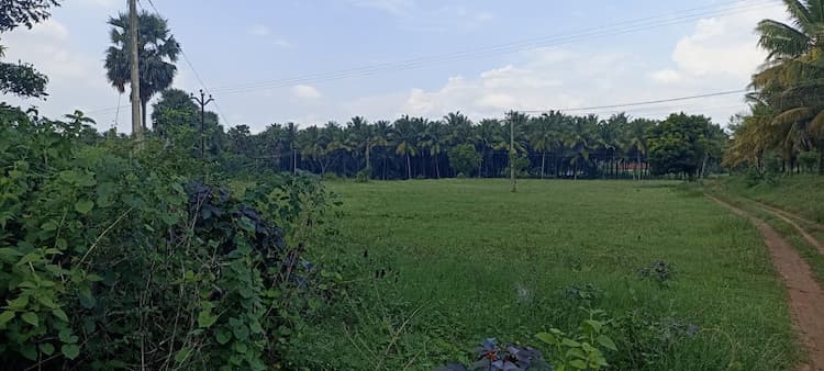 agri land for sale