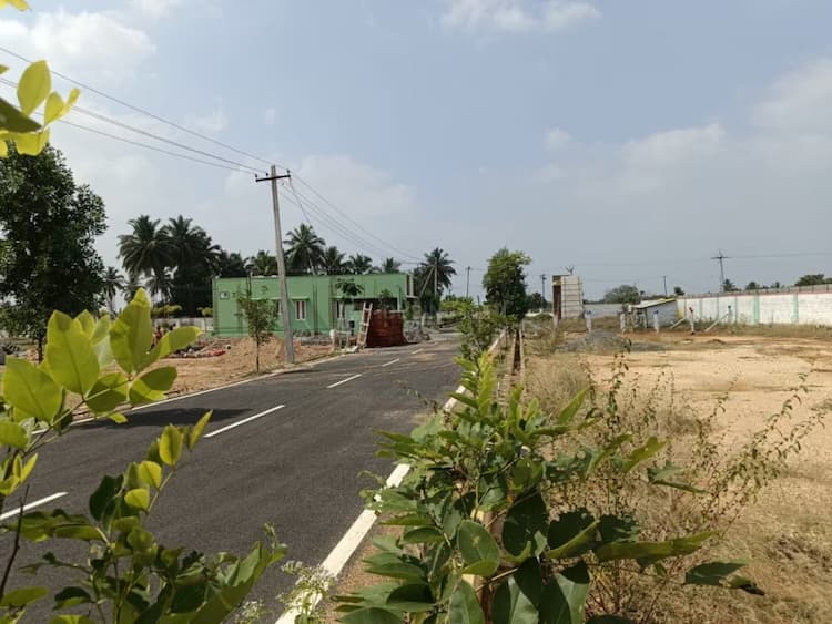 Residential Plot