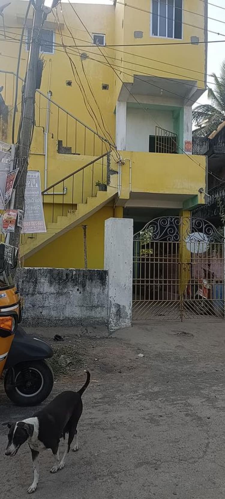 House for sales