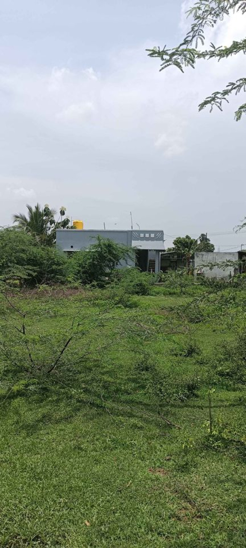 Plot sale