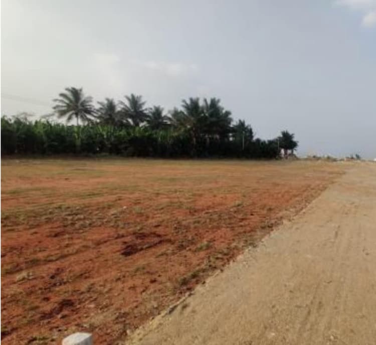 Land for Sale