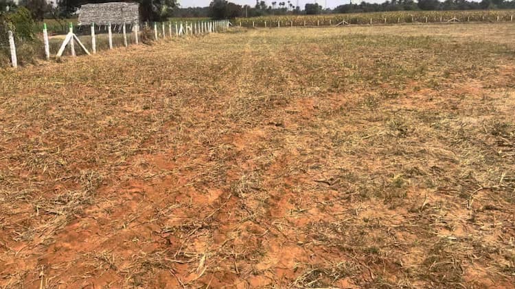 70 Cent Land for Sale