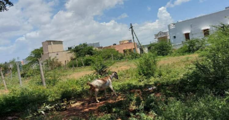 Single Property Image