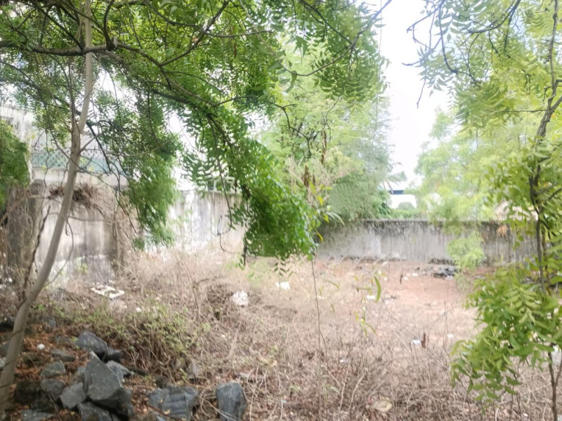 site for sale 