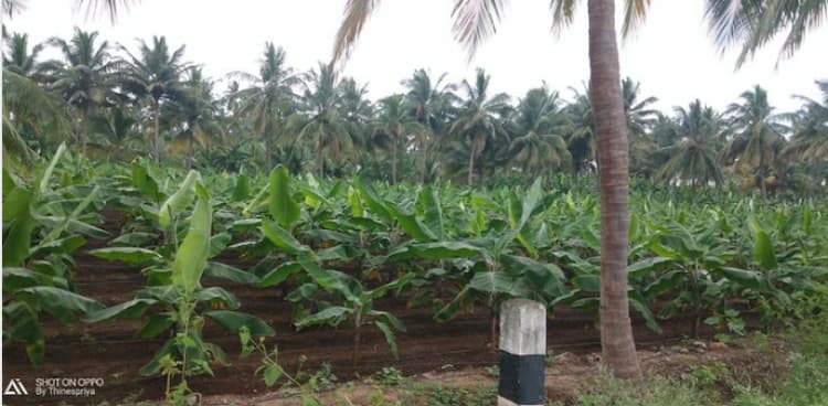 1.25 Land for sales