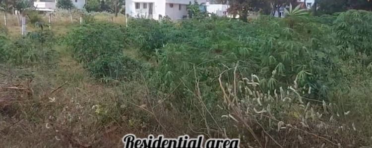 land for sales