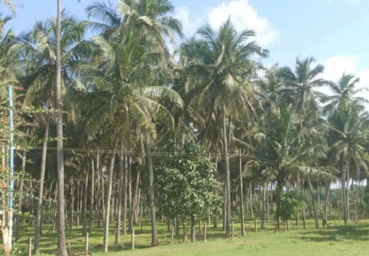 Agricultural Plot / Land for sale in Madukkarai, Coimbatore