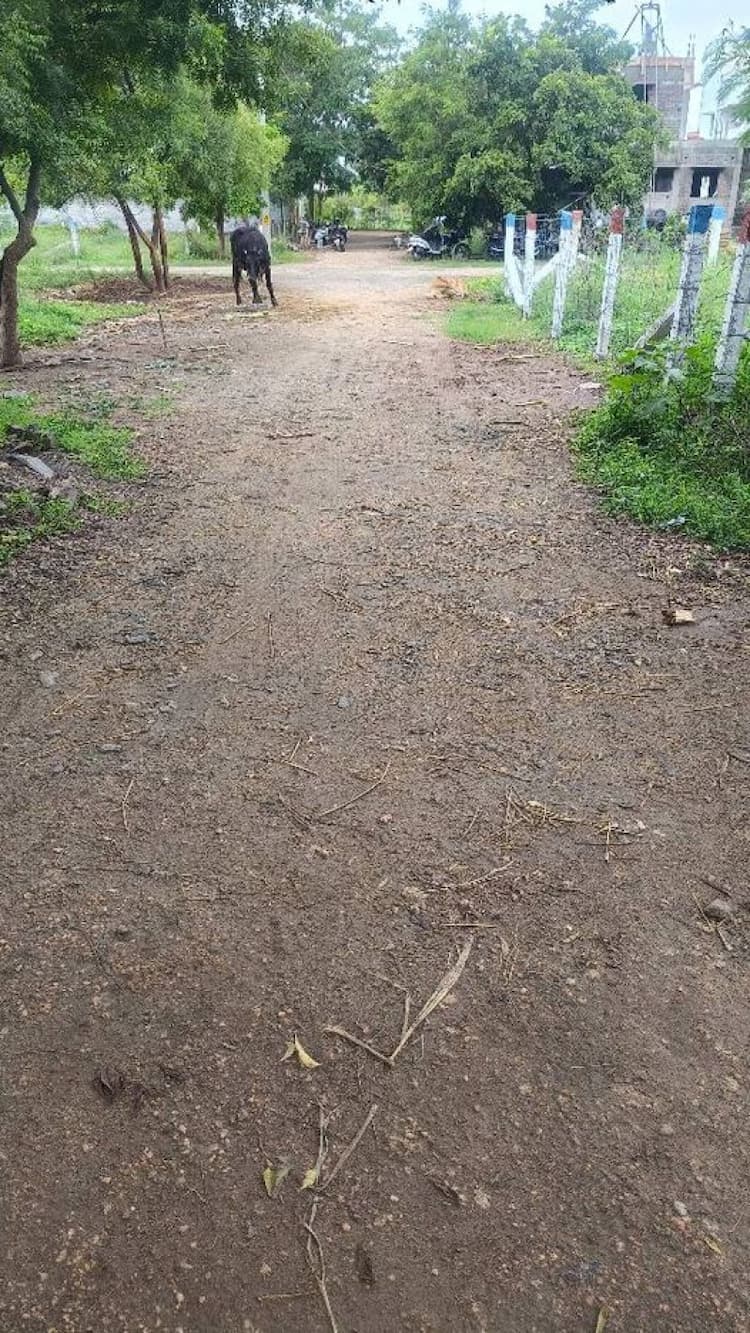 site for sale