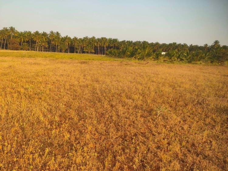 2.30 Acre Land for Sale