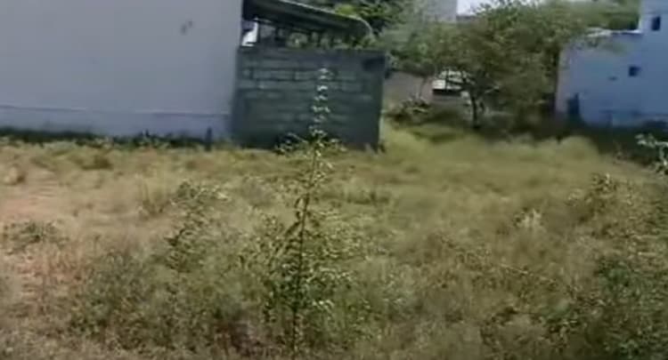 Land for sales