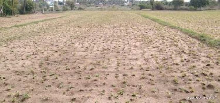Land sale