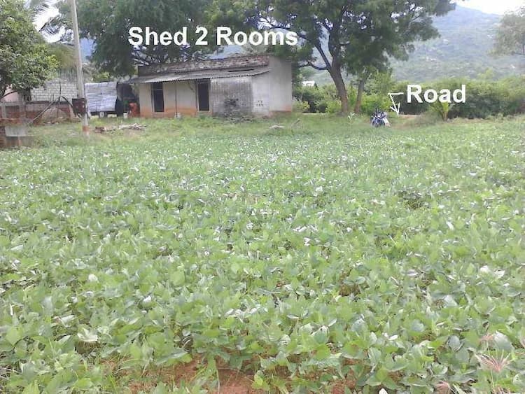 Agricultural Land