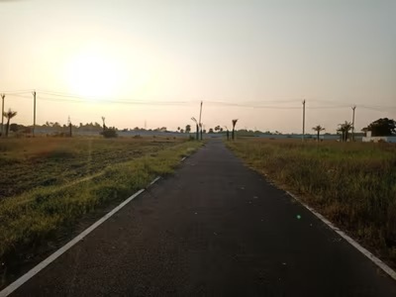 Residential Plot
