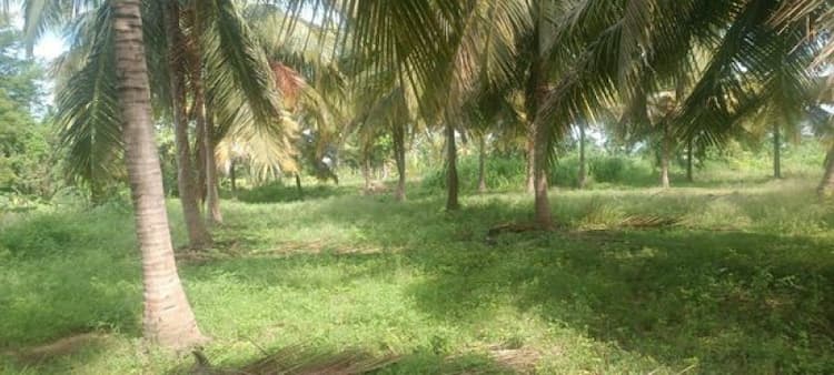 Low Budget Land for Sale