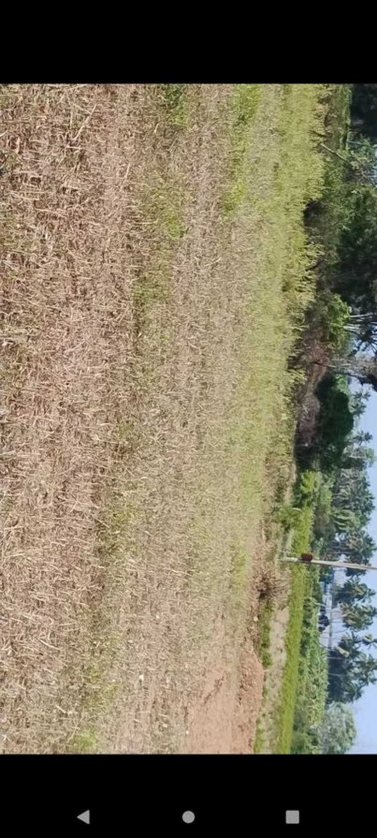 Farming land for sale