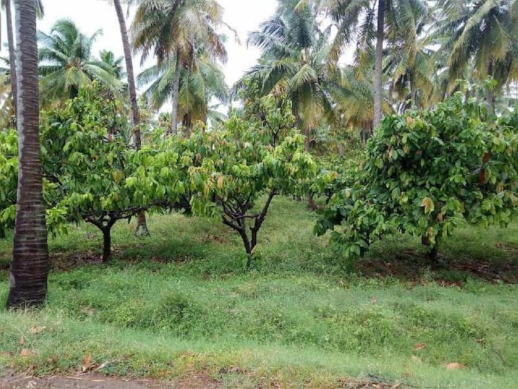 Land sale