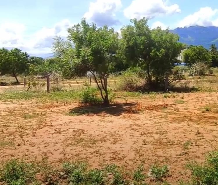 Land for sales
