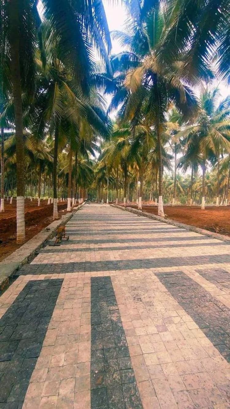 Single Property Image