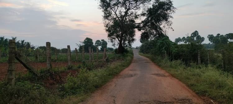 Single Property Image