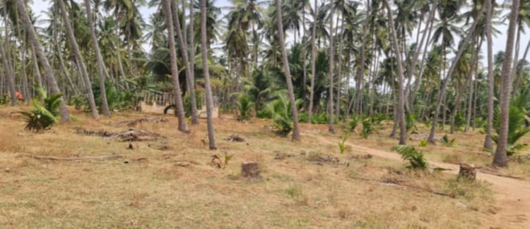 Single Property Image