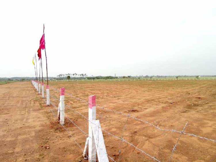 Plot sale