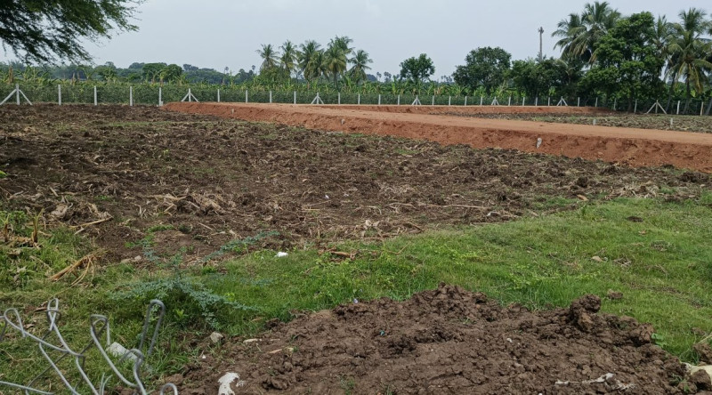 Agricultural Land