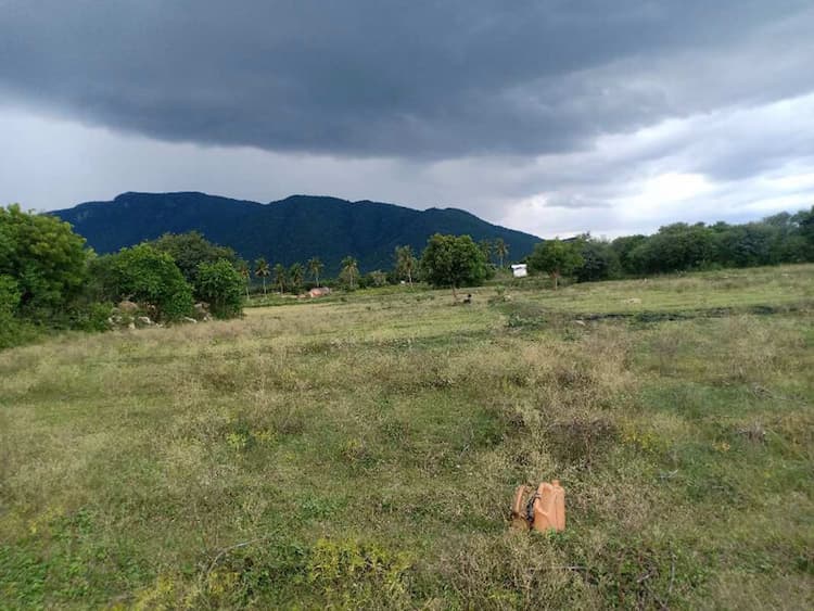Agricultural Land