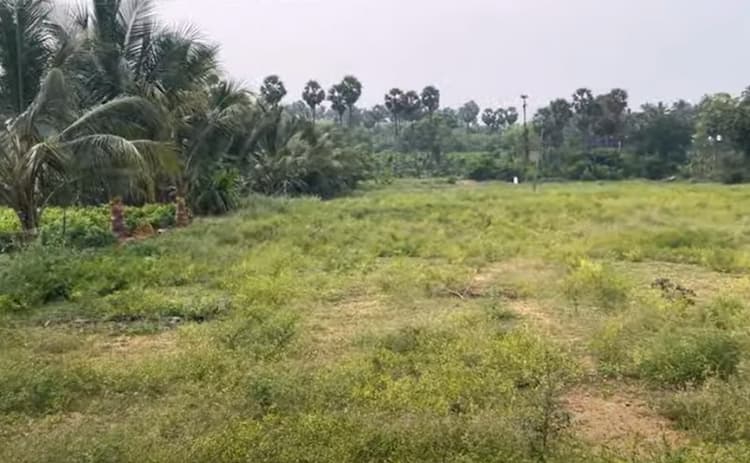 Land for sales