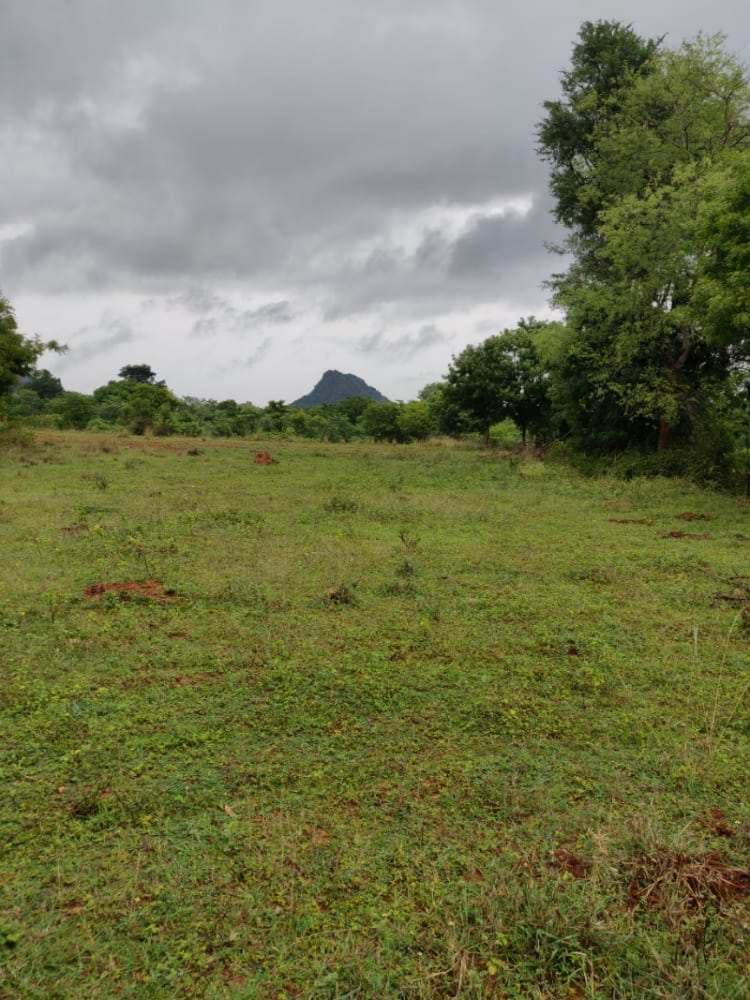 Agricultural Land