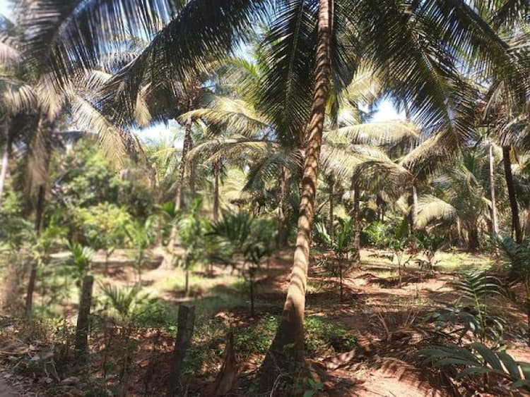 Single Property Image