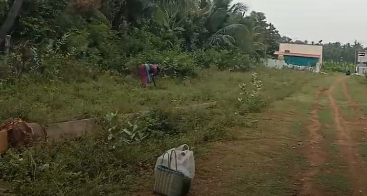 Land for sales