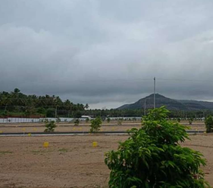 plot for sale 