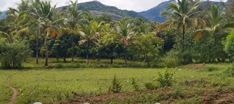 Land for sales