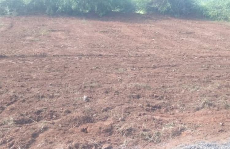 Land for sales