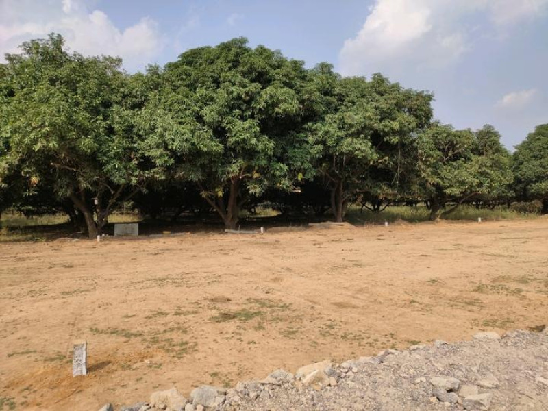 Residential Plot