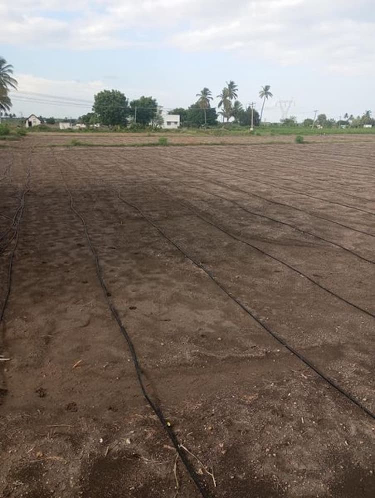 Land sale