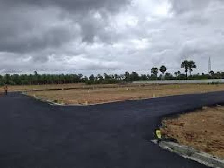 Plot sale