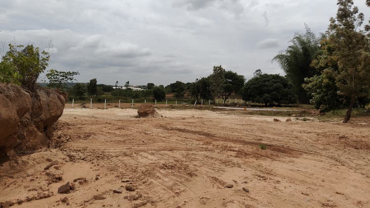 Agricultural Land
