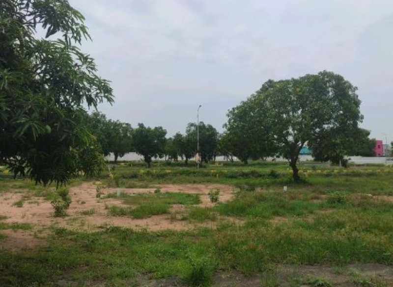 Land for sale