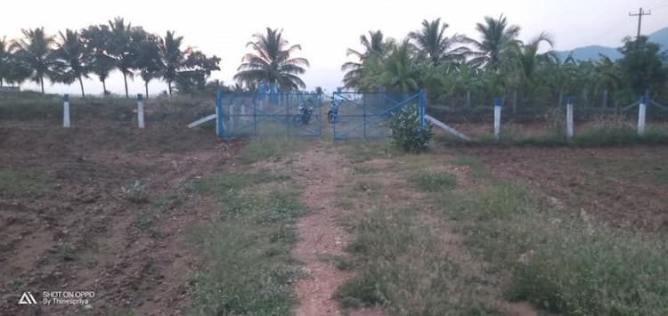 2.50 Acre for sales
