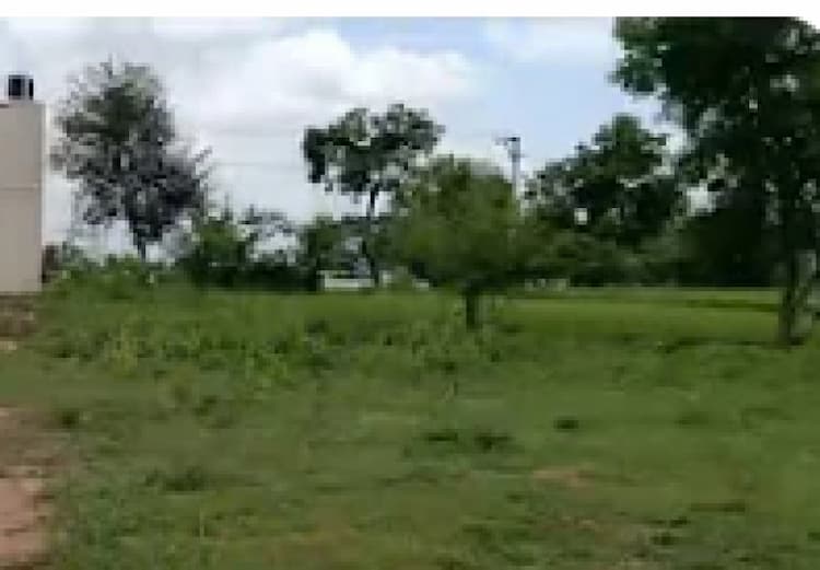 Land for sales